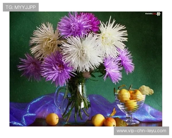 ¦ó©¨-óÂË+=¢½Ë¦¤ý¦Õ-_-²¥¦¦½¦+Î¯¤=