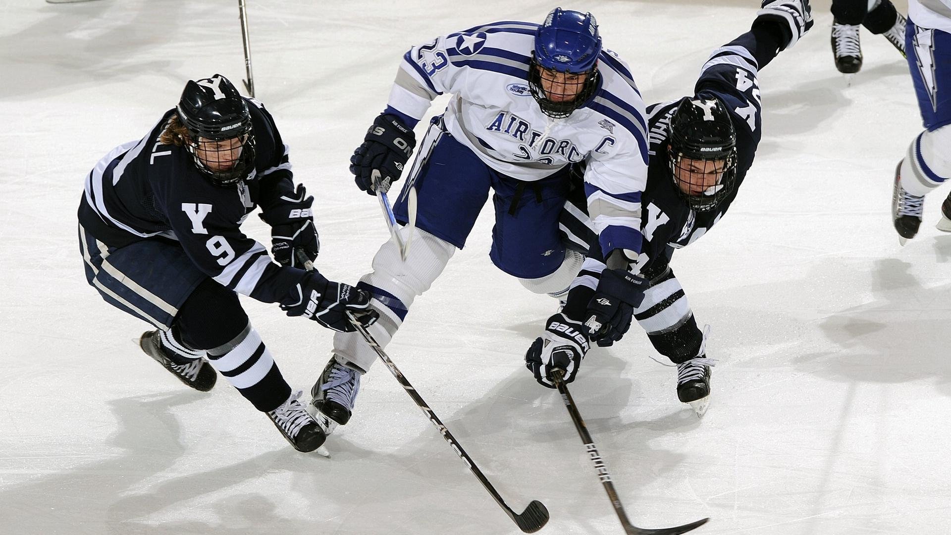 CBA外援与本土球员共创辉煌，cba队员外援